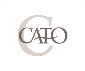 Logo 300x250
