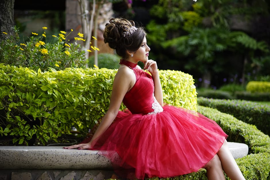 Prom Dress Xl: The Complete Beginner’s Guide to Urban Vegetable Gardening